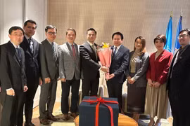 越南常驻联合国代表团向老挝常驻联合国代表团致传统新年祝福。图自越通社