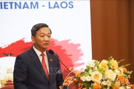 越南驻老挝大使阮明心发表讲话。图自越通社