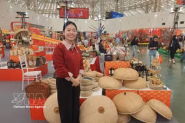 河内市红云乡宁楚手工艺村展出的产品。图自越通社