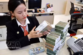 诸多银行实施信贷措施，为企业提供支持。图自越通社