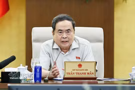 国会主席陈青敏发表讲话。图自越通社