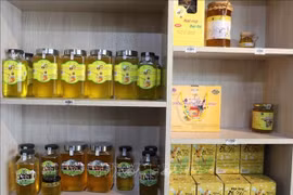 薄荷蜂蜜是河江省同文岩石高原的“一乡一品”产品。图自越通社