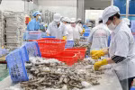 越南力争2023年虾类出口额达43亿美元