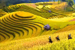 提高人民意识 发展西北旅游