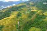 社区旅游——保护少数民族文化的良策