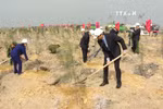 越南全国各地纷纷举行新春植树节活动