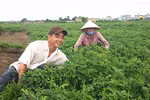南定省新合作社模式 为人民打开致富之路