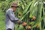 2016年水果出口活动留下深刻烙印