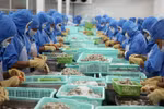 2019年前8月越南虾类出口额达19.3亿美元