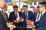 越南参加第二届中国国际进口博览会