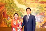 越南国会主席阮氏金银同中国全国人大常委会委员长栗战书举行会谈