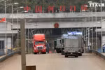 通过老街口岸的农产品出口量保持较好发展态势