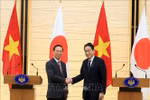 越南国家主席武文赏与日本首相岸田文雄举行会谈