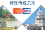 图表新闻： 越南—古巴特殊传统关系