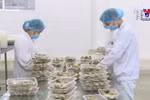 越南对中国贝类出口增长119倍