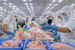 越南水产品出口额重回10亿美元