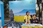 2022年韩国—越南文化旅游节在河内还剑湖步行街精彩纷呈