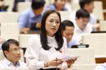 第十五届国会第四次会议：对监察领域进行质询