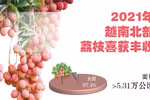图表新闻：2021年越南北部荔枝喜获丰收