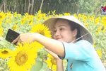 广南省旅游业多管齐下主动适应‘新常态’