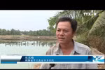 九龙江三角洲多措并举夯实适应气候变化之基