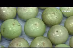 越南成功出口6种新鲜水果