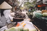越南获得世界旅游大奖6个奖项的提名
