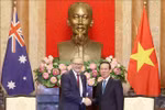 越南国家主席武文赏会见澳大利亚总理安东尼·阿尔巴尼斯