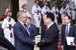 越南国会主席王廷惠会见澳大利亚总理安东尼·阿尔巴尼斯
