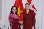 国家副主席武氏映春对丹麦和挪威的访问之旅取得圆满成功