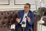 加强议会作为促进越南与印度尼西亚合作的桥梁作用