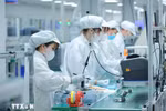 附图 图自越通社