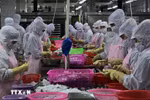 资料图。图自越通社