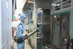 胡志明市寨卡病毒感染病例继续增加
