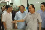 阮春福总理：胡志明市应制定绿色食品供应链发展规划