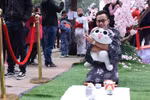 河内大学生再现日本人过年传统习俗