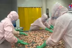 越南主力商品出口提速 全国出口总额超3120亿美元