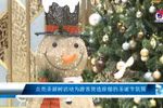 点亮圣诞树活动为游客营造浓郁的圣诞节氛围