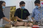 越南野生动物保护者荣获戈德曼环境奖