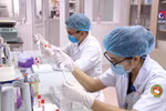 1000名志愿者参加Nano Covax疫苗三期试验