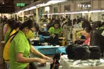 今年前9个月越南恢复生产企业数量猛增 
