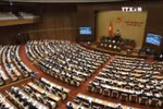 越南第十四届国会第二次会议在河内开幕
