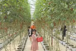 林同省力争到2030年发展成为“绿色天堂”的旅游目的地