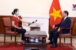 海外越南人侨务工作是越南党和国家外交政策支柱
