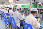 北江省逐步实现稳生产稳防疫双重目标