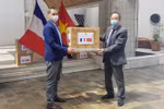 越南向法国各团体组织赠送1.5万只医用口罩