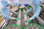 2020年越南农林水产贸易顺差约达62亿美元