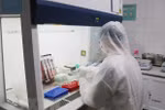 新冠肺炎疫情：越南成功研制出新冠病毒检测试剂盒