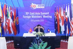 ASEAN 2020：东盟轮值主席国越南为AMM 53付出努力