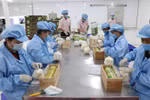 越南农产品价值得到肯定